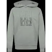 Helly Hansen Core Graphic Hettegenser