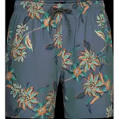 Rip Curl Sessions Badebukse
