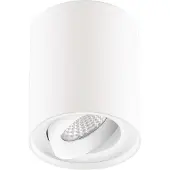 EVN Kardanus LED-taklampe Ø 9 cm, hvit