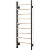 Gymstick Wood&steel Ripsvegg