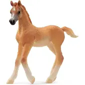 Schleich Arab foal
