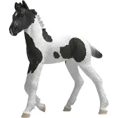 Schleich Horse Club - 9 cm - Samleføll - Rocky - 81481 - - OneSize - Lekedyr