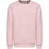 Hummel Collegegenser - HmlJR - Pale Lilac - - 5-6 år (110-116) - Collegegenser