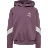 Hummel Loose Bts Hettegenser