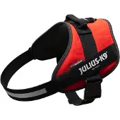 Julius-K9 K9 IDC sele, str.: 4, rød 96-138 cm