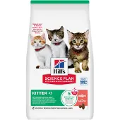 Hill's Pet Nutrition Kitten