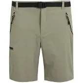 Regatta Xert Stretch Iii Shorts