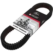 Gates Honda Forza 250cc 08>-pl41024 Variatorreim