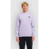 Billabong Foundation Ebysf00188 Collegegenser