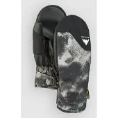 Burton Access Votter
