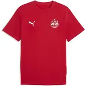 Puma FC Red Bull Salzburg ftblEssentials Tee Men, Men, Red/White, S