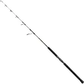 Penn Regiment Iv Pro Jigging Stang