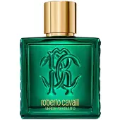 Roberto Cavalli Verde Assoluto Pour Homme - Eau De Parfum 100 ml