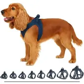 Flamingo Step&go Bento Hundesele