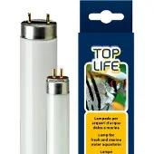 Ferplast Aquasky 54w Neon Akvarielampe