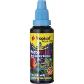 Tropical Bacto-Active - levende bakteriekulturer for akvariet - 30 ml