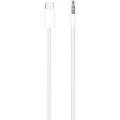 Apple USB-C to 3.5mm Audio Cable (1.2m)