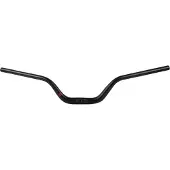 Ergotec Riser 100all 12° Styre