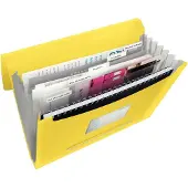 Esselte Vivida - Dokumentmappe - kan utvides - 6 rom - for A4 (210 x 297 mm) - kapasitet: 300 ark - med fliker - livlig gul