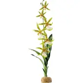 Hagen Kunstig plante - Orchid Spider Orchid