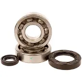 VERTEX K234 Veivaksellagersats