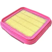 Champion Caf9011 Luftfilter