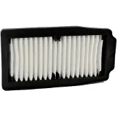 Champion Parts Caf2202 Luftfilter