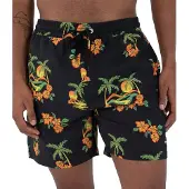 Hurley Cannonball Volley 17" Boardshorts svart