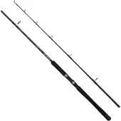 Dam Iconic2 Sw Boat Spinnestang