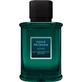 David Beckham Instinct 50 Ml Eau De Parfum