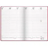 Mayland City Diplomat ugekalender rød vinyl 2027