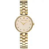Calvin Klein Watches Gleam 24mm 3atm Quartz Analogical Dameklokke