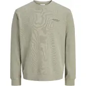 Jack & Jones Archive Graphic Collegegenser