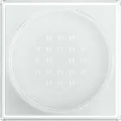 Maybelline Fit Me Loose Setting Powder 1 Translucent