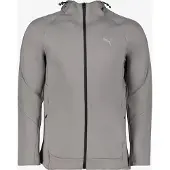 Puma EVOSTRIPE Full-Zip Hoodie Men, Clothing, Cast Iron, S