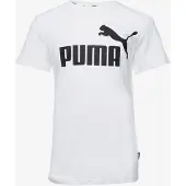 Puma Essentials Logo Tee Youth, Guide, White, 11-12Y