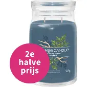 Yankee candle - Bayside Cedar-Large 567 gr
