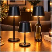 Mikamax Solar Down Light