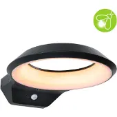 Paulmann Anela LED-sensor-utendørs vegglampe 2 200 K