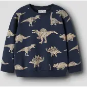 Name It Mini Økologisk Bomull Sweatshirt