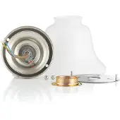 BERLINER MESSINGLAMP Alena taklampe, i matt nikkel med glasskjerm