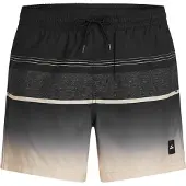 O'Neill Gradient 15'' Boardshorts svart