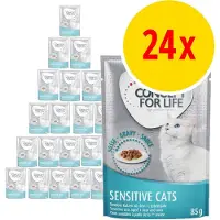 Concept for Life Sterilised Cats med kylling - Som supplement: 12 x 85 g Sterilised Cats i gelè