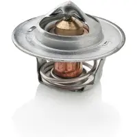 VETUS P4.17/19/25 Termostat