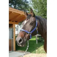 Kerbl Halter Mustang Full Black/Silver