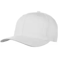 Flexfit Wooly Combed Cap