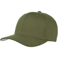 Flexfit Wooly Combed Cap