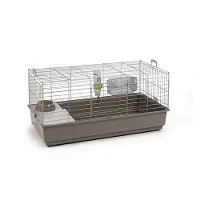 Beeztees Nero 3 Deluxe Bur For Gnagere