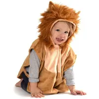 Den Goda Fen Løve Baby Kostyme