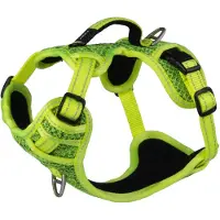 Rogz Explore Hundesele